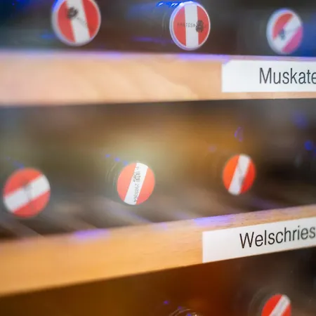 Alter Telegraf Грац